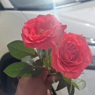 Paula 👑's profile picture