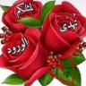 الاصبحي profil fotoğrafı
