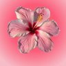 ilkbahar 🇹🇷's profile picture