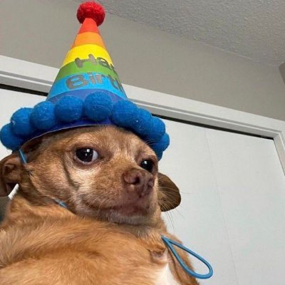 thatonefreeguyy's profile picture