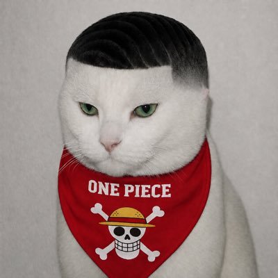 Diet💦's profile picture