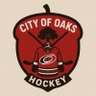 Profilbild von City of Oaks Hockey Jerseys