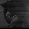 Profilbild von Awakening Sonic(Parody)