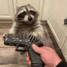 sammy's profile picture