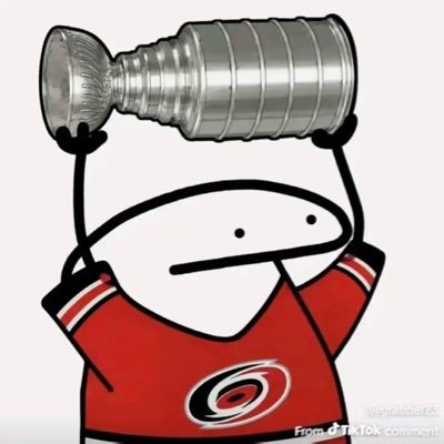 Stanley Cup Simba 👑💍's profile picture