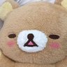 ころコロ's profile picture