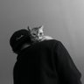 Profilbild von Dof