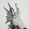 ðªèªå's profile picture