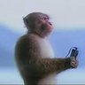 luny profil fotoğrafı