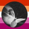 Violet 🦋 profil fotoğrafı