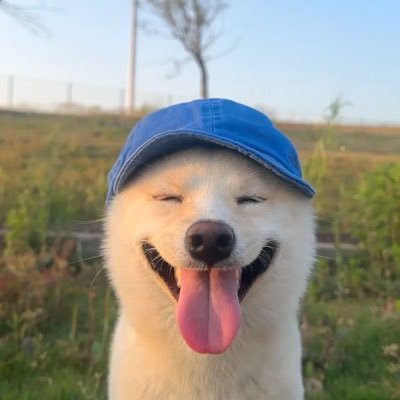 pp3__m's profile picture