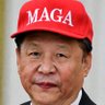 冰棒外交者、通商宽衣使、扛麦子奇迹缔造者、游泳健将、清单结算者、来自疯狂宇宙的精甚萨格尔王维震天 的头像
