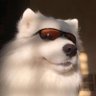 一个逗比搬砖工's profile picture