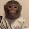 Profilbild von Jey