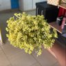 Фото профиля yeboah