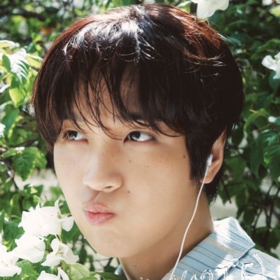 browniesabel's profile picture