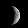 Luna's profile picture