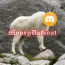 Фото профиля Monry