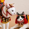 Фото профиля satoko