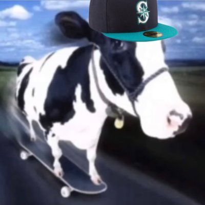 HiImSerenity's profile picture