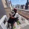 たつ ウホウホゴリラ profil fotoğrafı