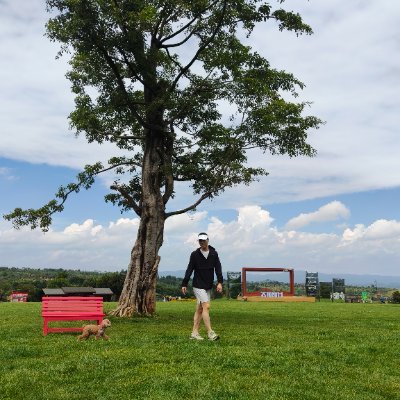 Renlu_ai's profile picture