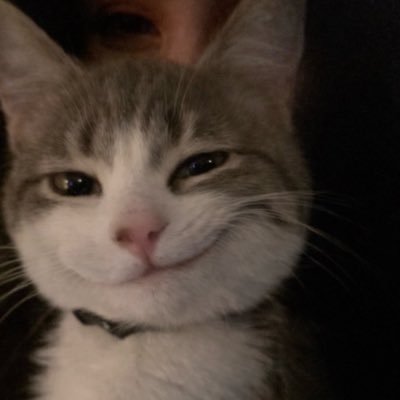 kittyvco's profile picture