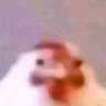 Profilbild von CC