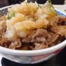 Фото профиля 鬼おろしポン酢牛丼(自称)
