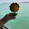 May 的头像