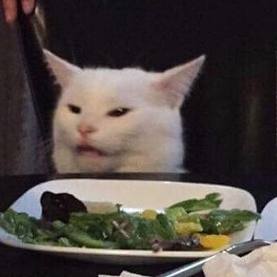 katsu's profile picture