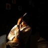 MEHUL_MAKWANA profil fotoğrafı