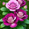 sheo kumar pandey's profile picture