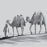 Salah67 的头像