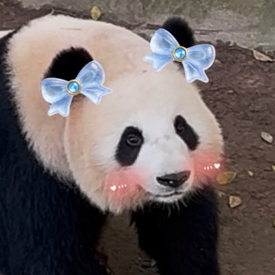 mommy loves you's profile picture