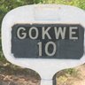 Nemangwe's profile picture