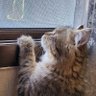 Jana_21🤍ᴹᵀ profil fotoğrafı