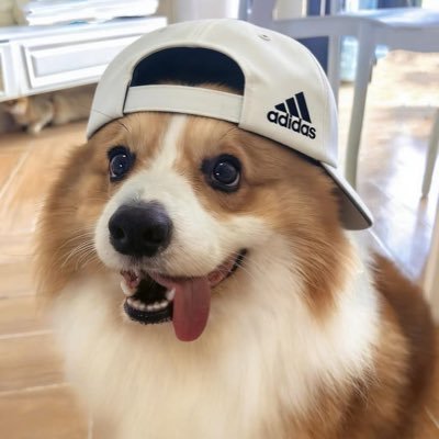 承喜mmM's profile picture