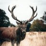 EauMinerale profil fotoğrafı