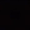 Max's profile picture