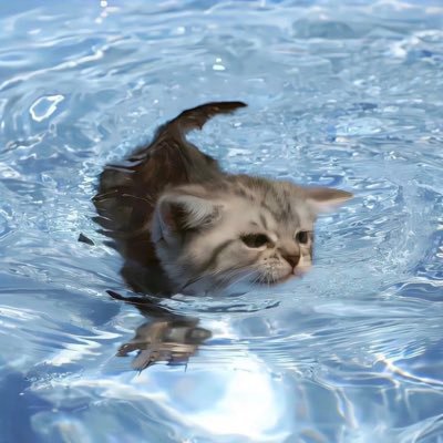 wanglan_D's profile picture