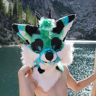 ColdTheFox's profile picture