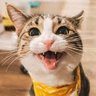 notsinjinar profil fotoğrafı