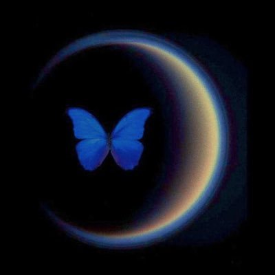 k00kMuse's profile picture