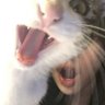 Gigi's profile picture