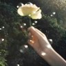 Profilbild von 脳内シアター