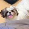 IamJQ's profile picture