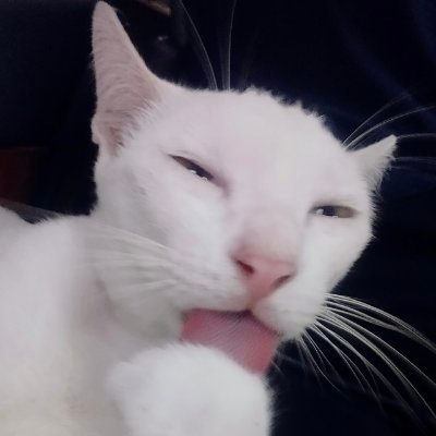 🐽เด็กดื้อ🐷's profile picture