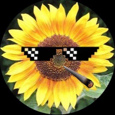 Robert Habicht™'s profile picture