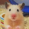 고대문화 매니아's profile picture